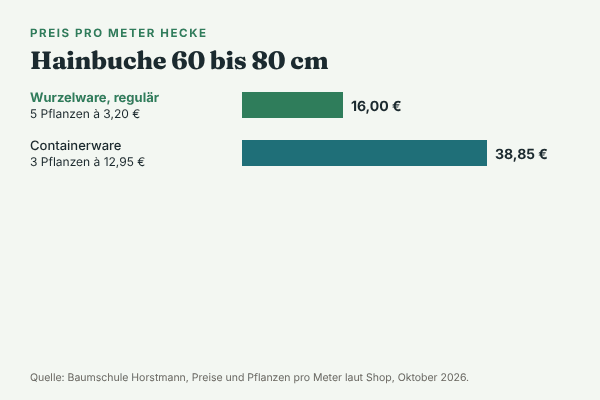 Balkendiagramm: Preis pro Meter Hainbuchenhecke, 60 bis 80 cm. Wurzelware regulär 16,00 €, Containerware 38,85 €