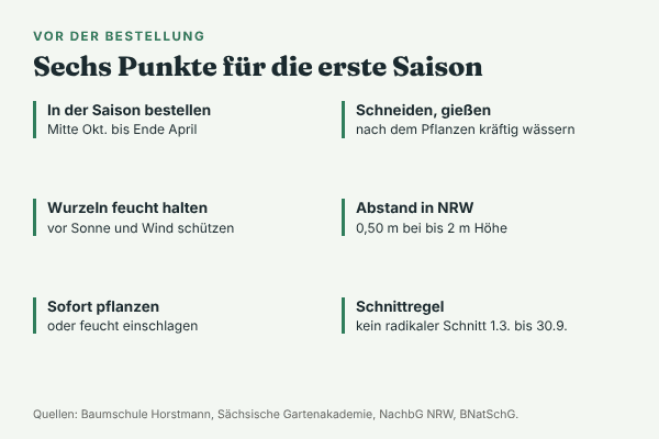 Checkliste für wurzelnackte Heckenpflanzen: Pflanzzeit Mitte Oktober bis Ende April, Wurzeln feucht halten, sofort pflanzen oder einschlagen, nach dem Pflanzen zurückschneiden und kräftig gießen, Grenzabstand in NRW 0,50 m bei bis 2 m Höhe, kein radikaler Schnitt vom 1. März bis 30. September