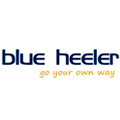 Blue Heeler 