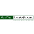 Maxifleur Kunstpflanzen 