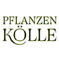 Pflanzen Koelle